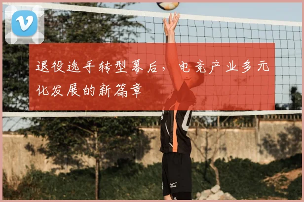 退役选手转型幕后，电竞产业多元化发展的新篇章
