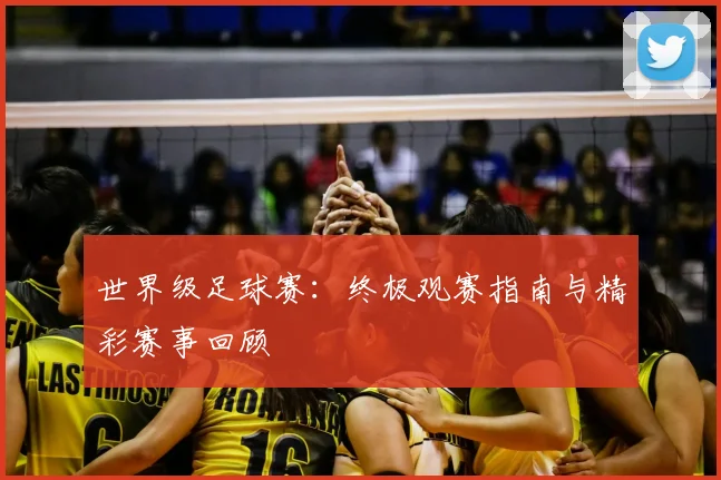世界级足球赛：终极观赛指南与精彩赛事回顾