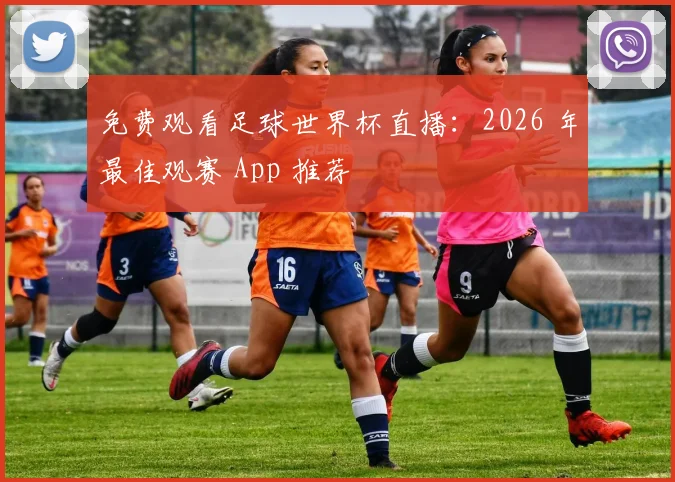 免费观看足球世界杯直播:2026 年最佳观赛 App 推荐